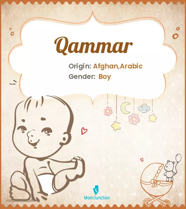 Qammar_image