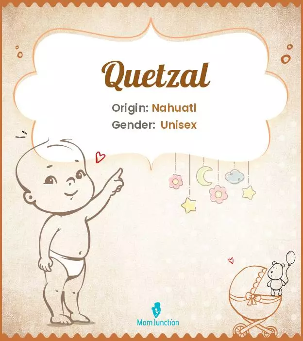 Explore Quetzal: Meaning, Origin & Popularity | MomJunction