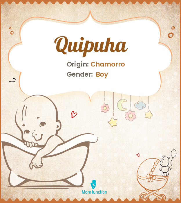 Quipuha