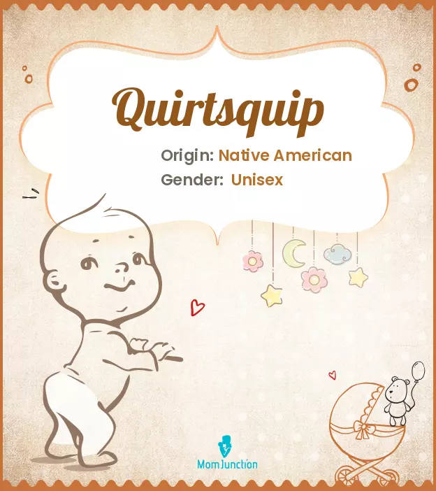 quirtsquip_image