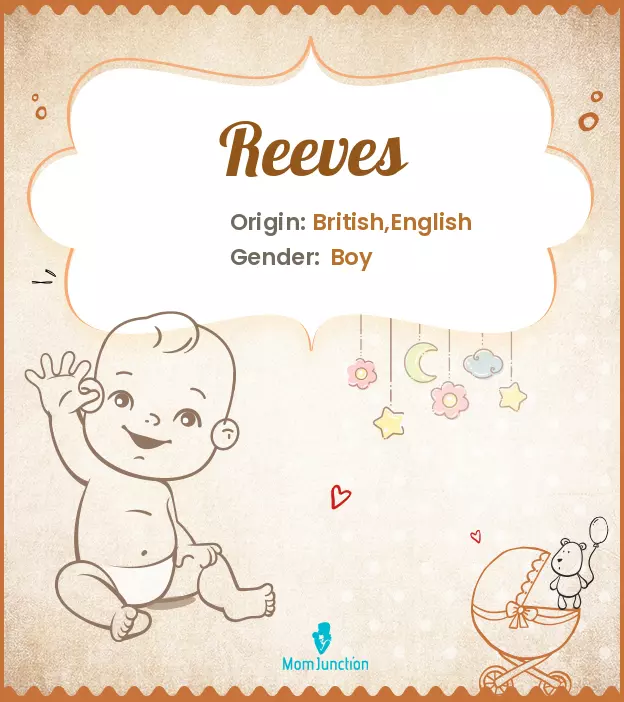 Explore Reeves: Meaning, Origin & Popularity_image