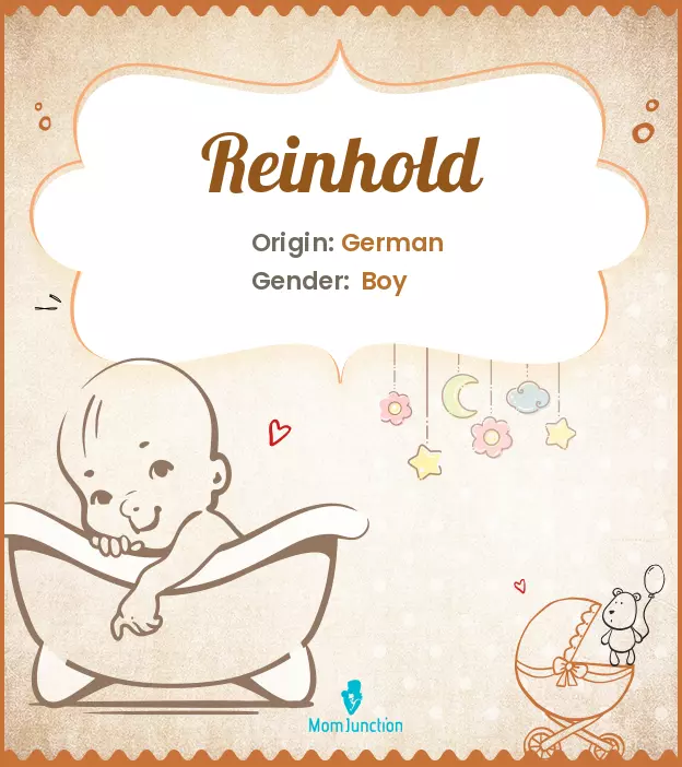 Explore Reinhold: Meaning, Origin & Popularity_image