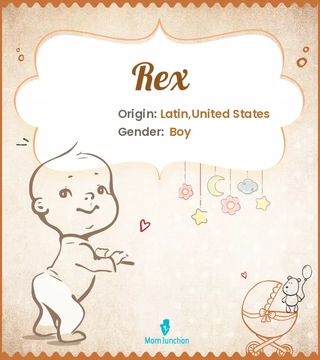 Rex Name, Origin, Meaning, And History_image