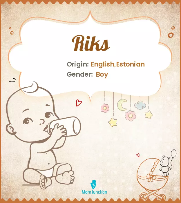 Baby Name Riks Meaning, Origin, And Popularity
