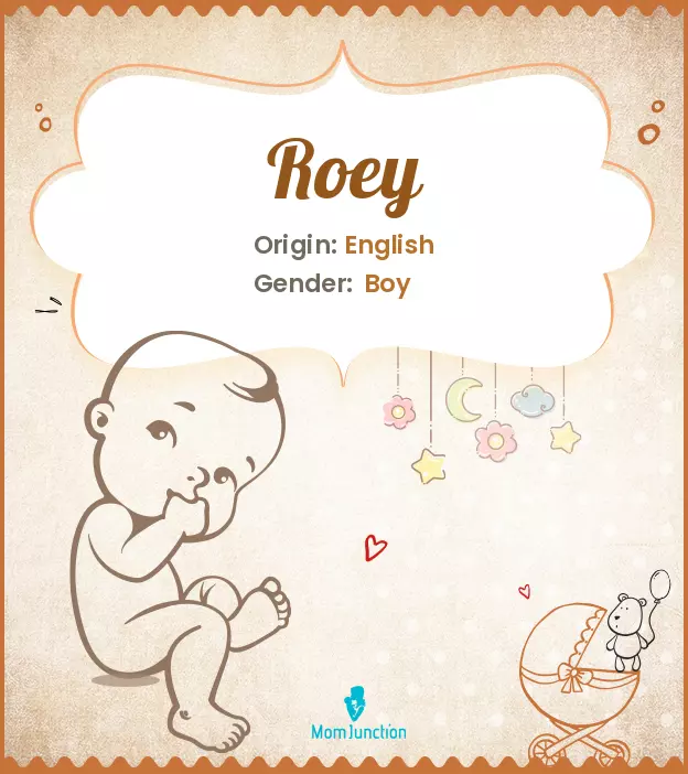 Explore Roey: Meaning, Origin & Popularity | MomJunction