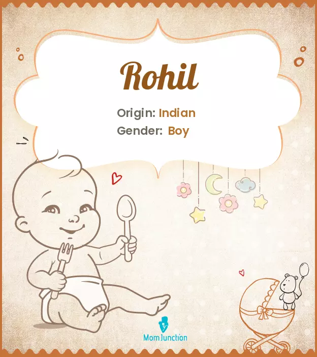 Explore Rohil: Meaning, Origin & Popularity | MomJunction