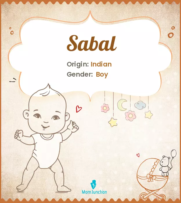 Explore Sabal: Meaning, Origin & Popularity_image