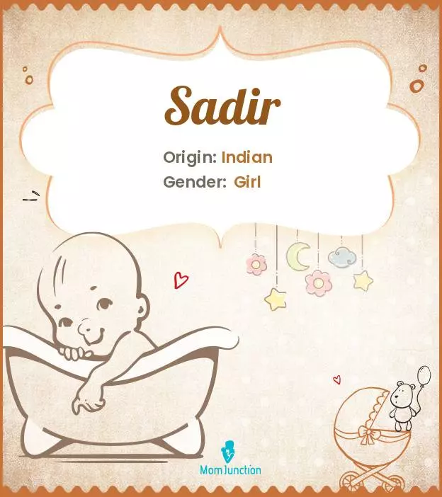 Baby Name Sadir Meaning, Origin, And Popularity