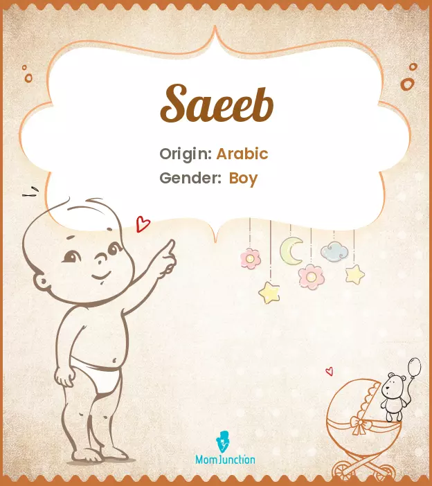Baby Name saeeb Meaning, Origin, And Popularity