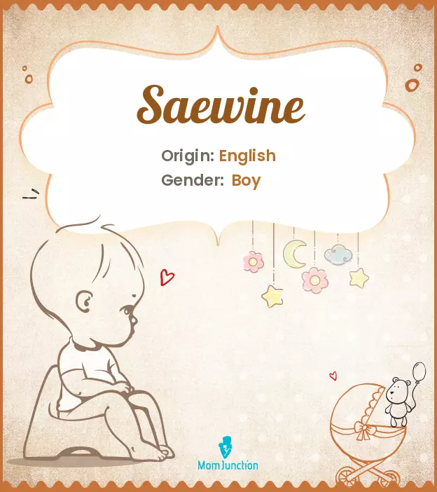 saewine_image