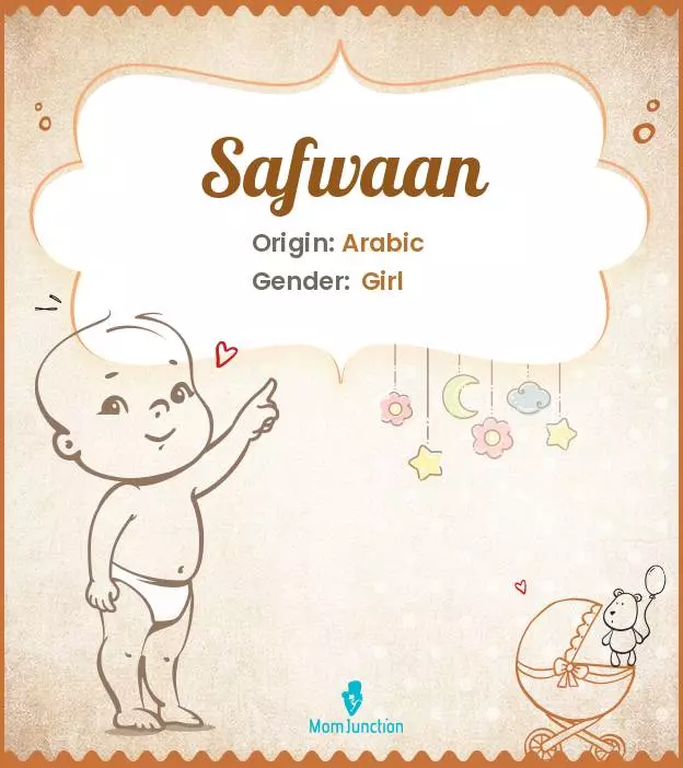 Baby Name Safwaan Meaning, Origin, And Popularity