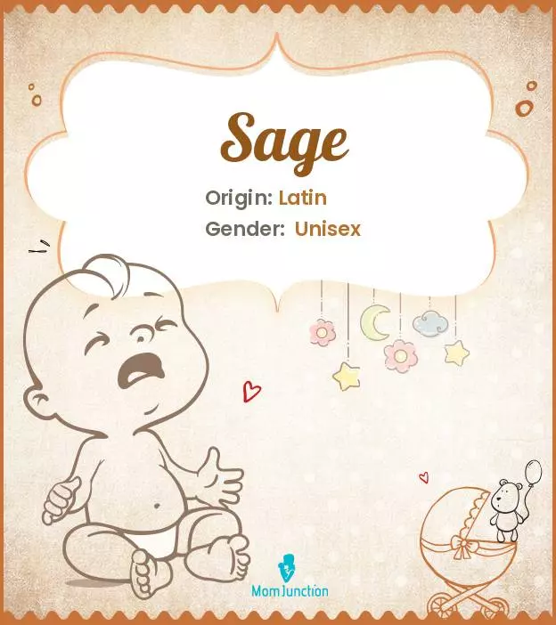 Explore Sage: Meaning, Origin & Popularity | MomJunction