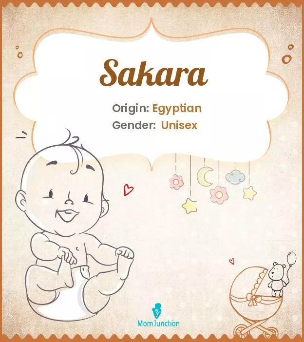 Explore Sakara: Meaning, Origin & Popularity_image