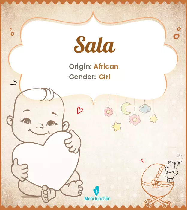 Explore Sala: Meaning, Origin & Popularity | MomJunction