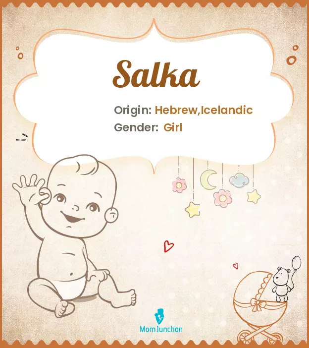 Explore Salka: Meaning, Origin & Popularity_image