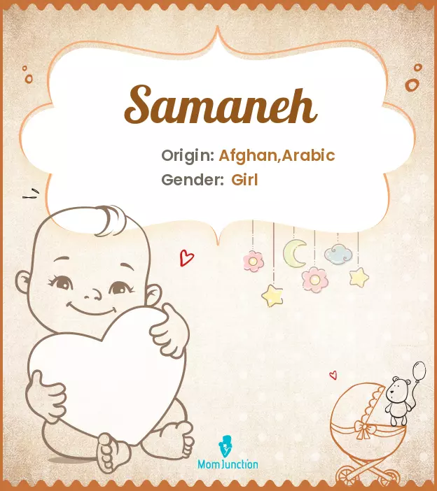 Baby Name Samaneh Meaning, Origin, And Popularity