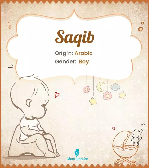 Explore Saqib: Meaning, Origin & Popularity_image