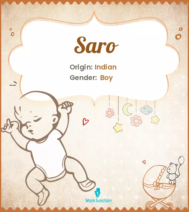 Explore Saro: Meaning, Origin & Popularity | MomJunction