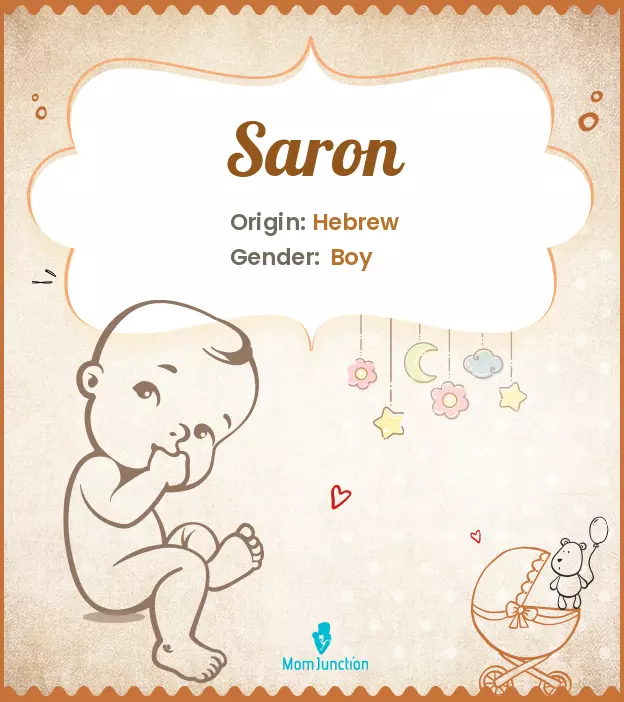 Explore Saron: Meaning, Origin & Popularity | MomJunction