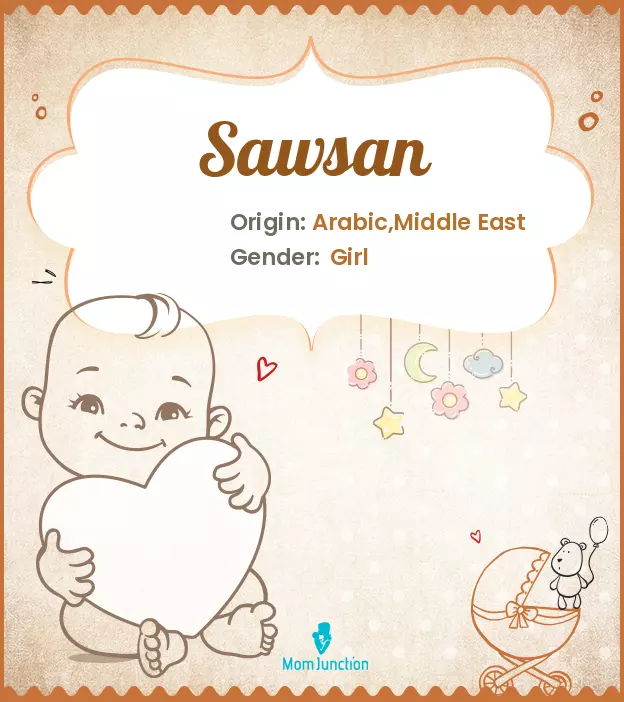 Explore Sawsan: Meaning, Origin & Popularity_image