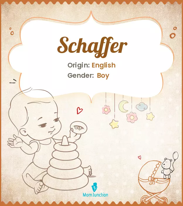 Explore Schaffer: Meaning, Origin & Popularity_image