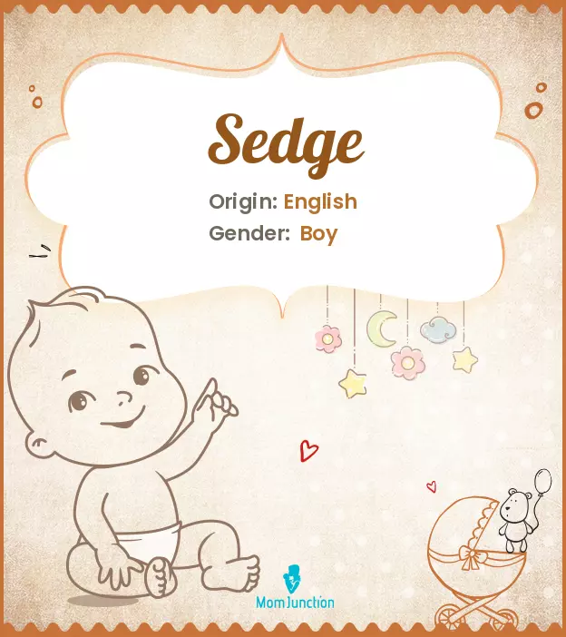 sedge_image