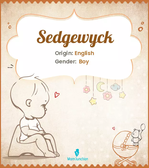 sedgewyck_image