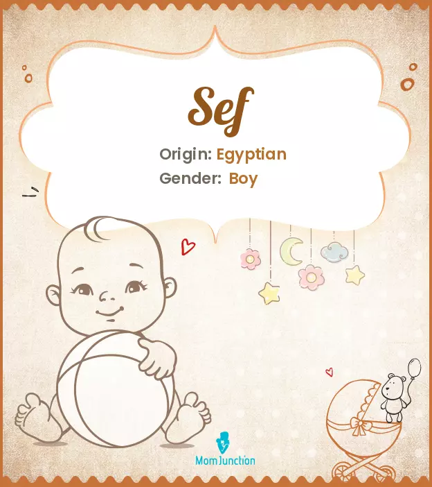 Explore Sef: Meaning, Origin & Popularity | MomJunction