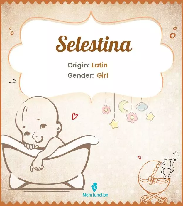 Explore Selestina: Meaning, Origin & Popularity | MomJunction