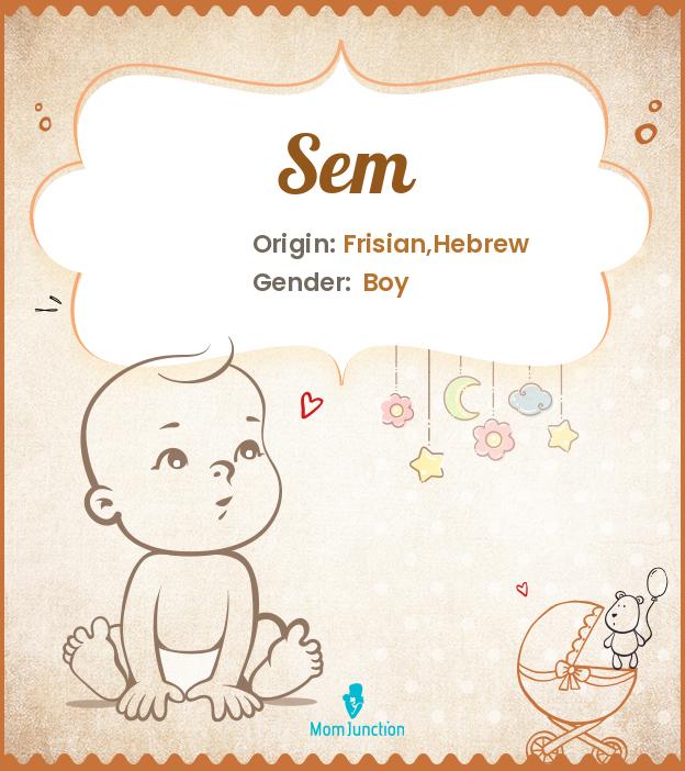 Sem Name Meaning Origin History And Popularity MomJunction