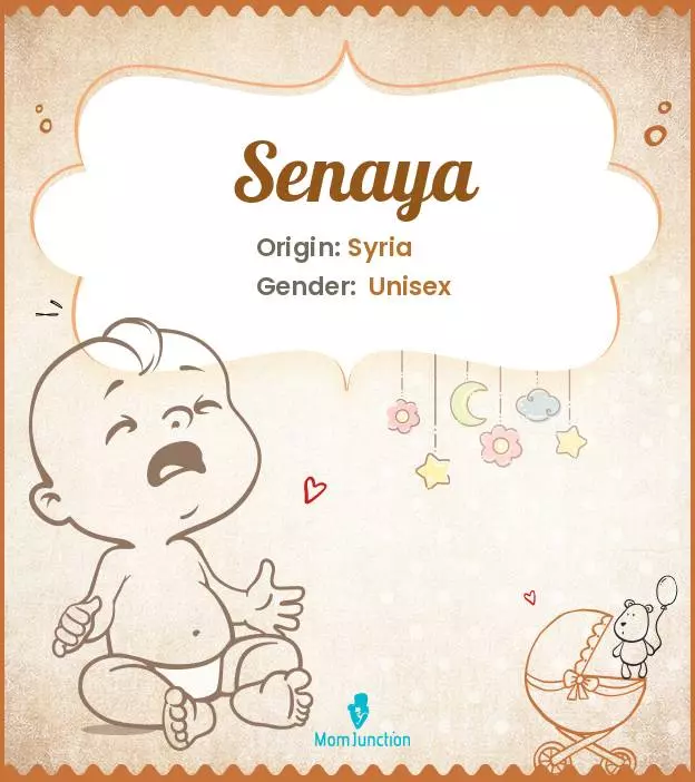 Explore Senaya: Meaning, Origin & Popularity | MomJunction