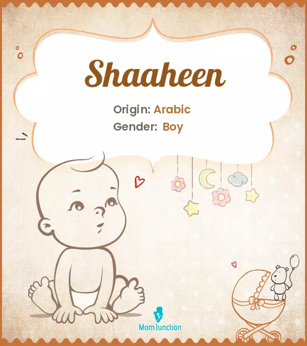 shaaheen