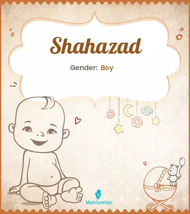 shahazad