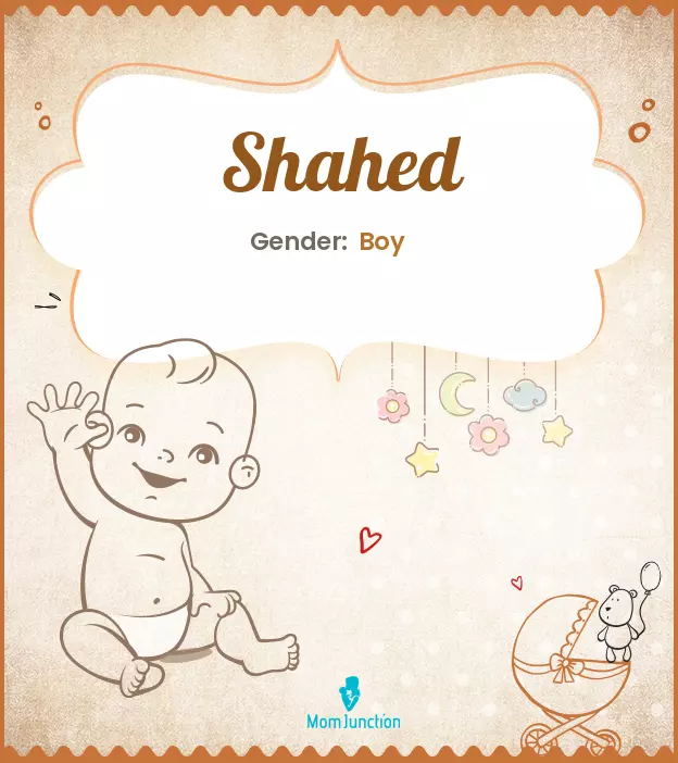 Explore Shahed: Meaning, Origin & Popularity | MomJunction