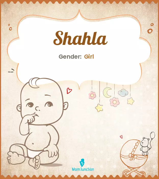 Explore Shahla: Meaning, Origin & Popularity_image