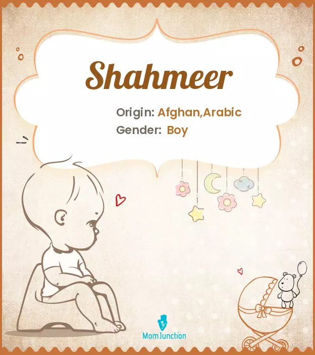 Shahmeer Name Meaning, Origin, History, And Popularity ...