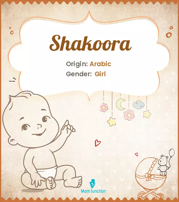 shakoora_image