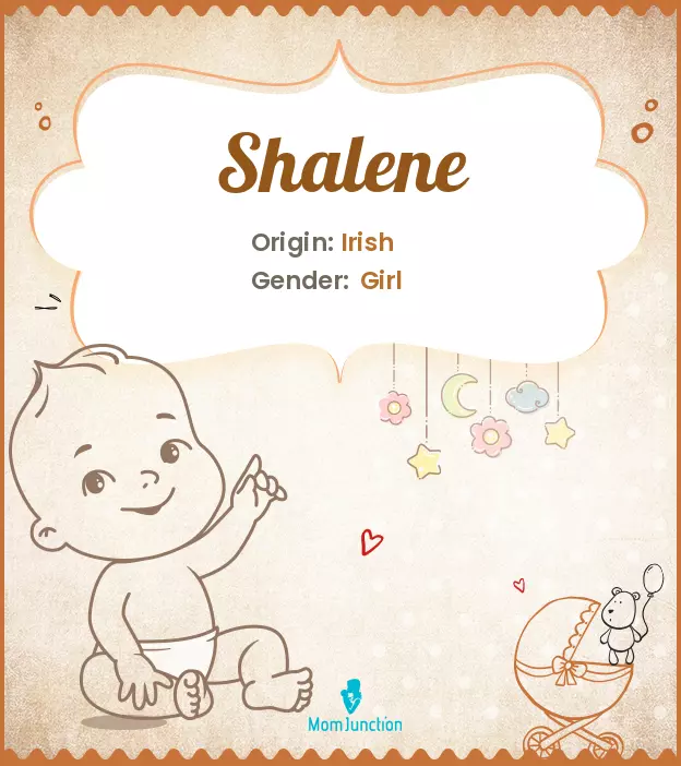 Explore Shalene: Meaning, Origin & Popularity | MomJunction