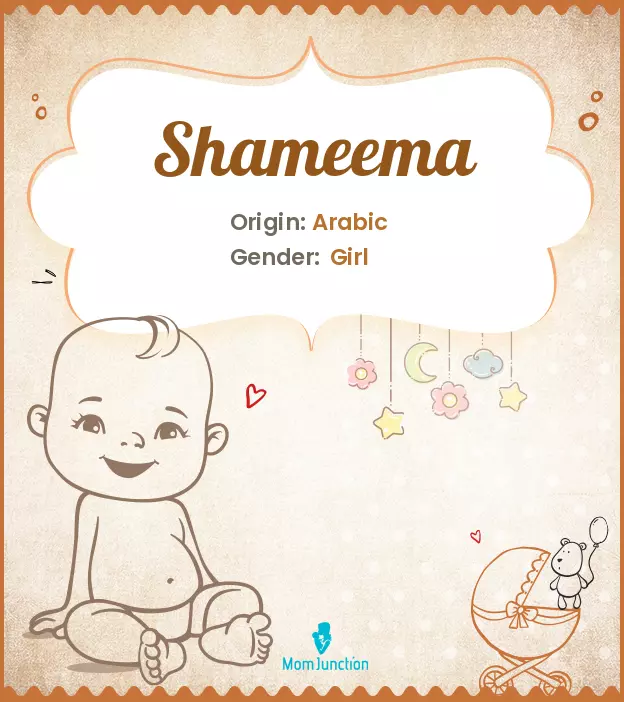 Explore Shameema: Meaning, Origin & Popularity_image