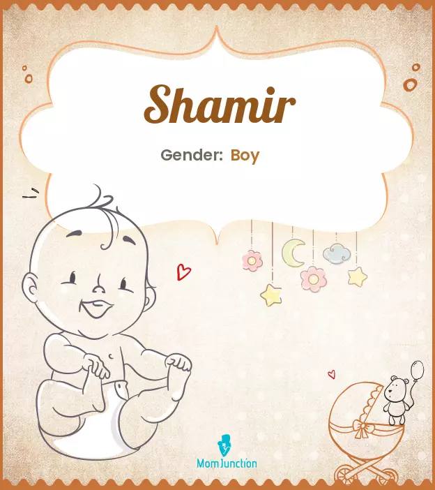 Explore Shamir: Meaning, Origin & Popularity | MomJunction