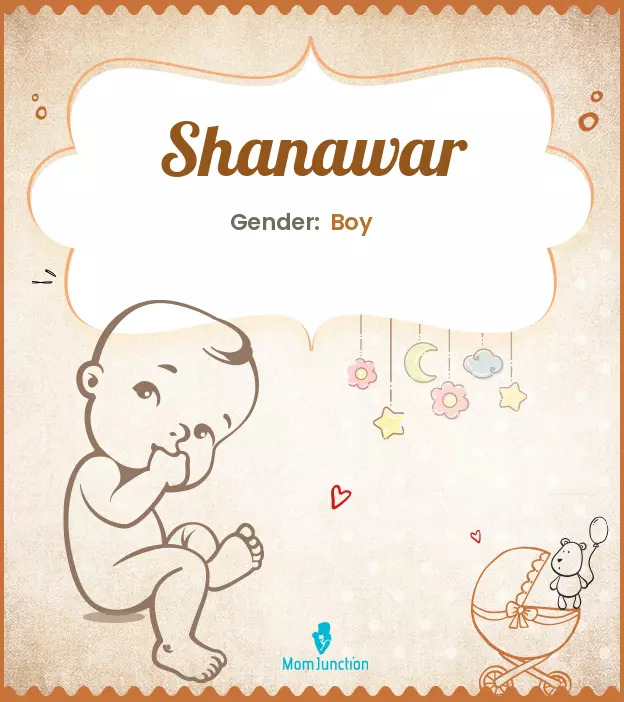 Explore Shanawar: Meaning, Origin & Popularity | MomJunction