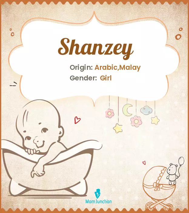 Explore Shanzey: Meaning, Origin & Popularity | MomJunction