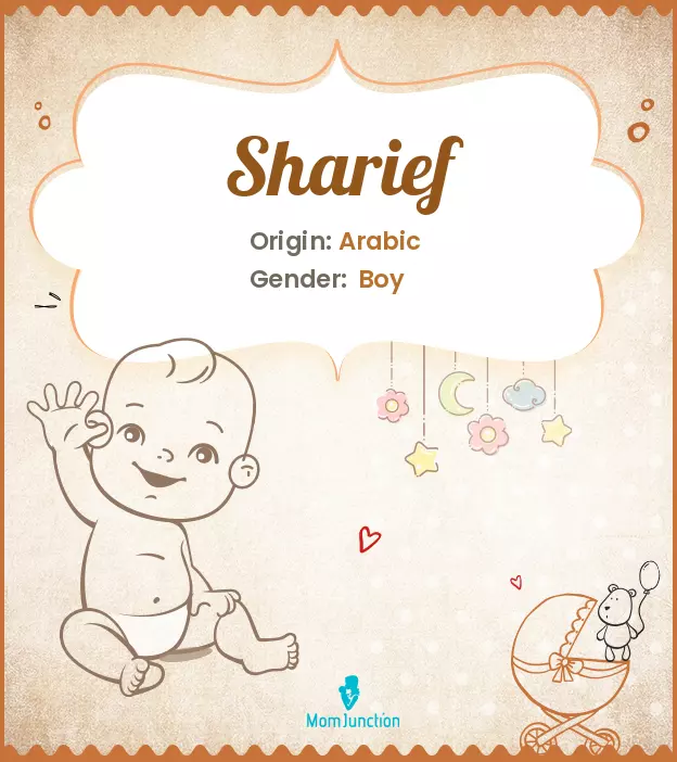 Explore Sharief: Meaning, Origin & Popularity | MomJunction