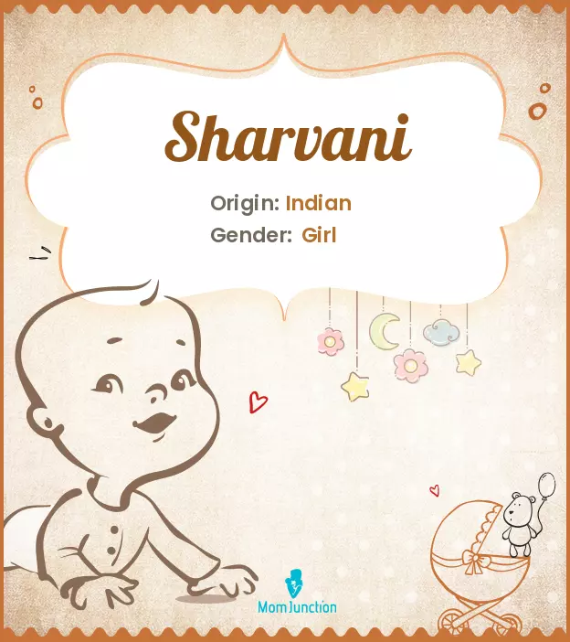 sharvani_image