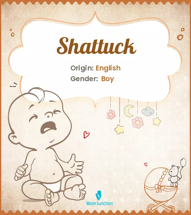 Baby Name shattuck Meaning, Origin, And Popularity