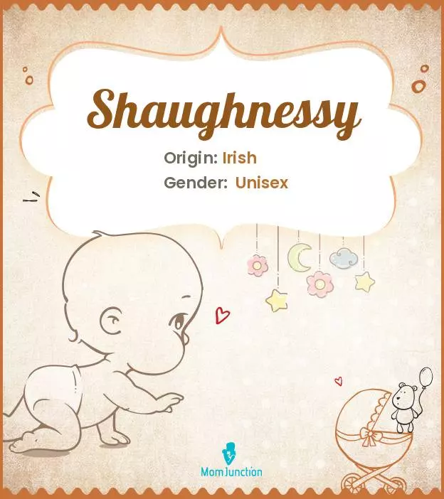 Baby Name Shaughnessy Meaning, Origin, And Popularity