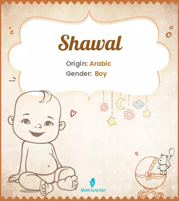 shawal_image