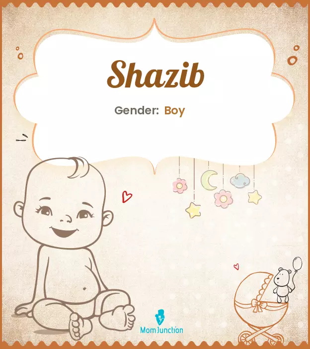 Explore Shazib: Meaning, Origin & Popularity | MomJunction