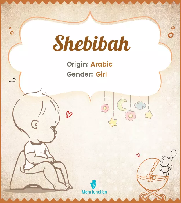 shebibah