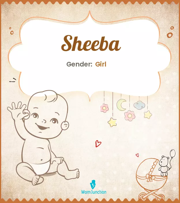 Sheeba Name, Meaning, Origin, History, And Popularity_image